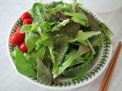 20100430_first salad_10.JPG